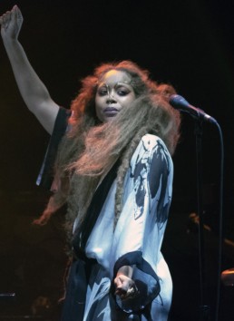 Erykah Badu Concert Photo