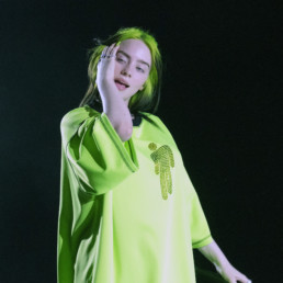 Billie Eilish Concert Photo