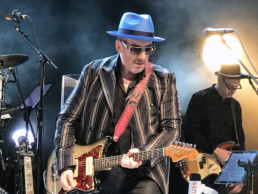 Elvis Costello Concert Photo